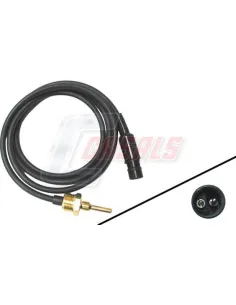 CASALS65356