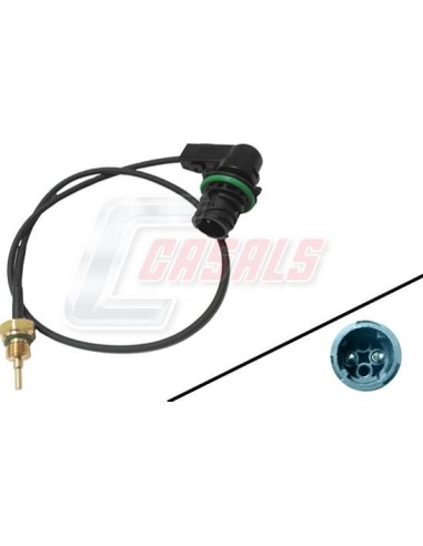 CASALS65360
