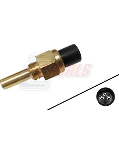 CASALS65361