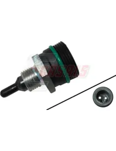 CASALS65371