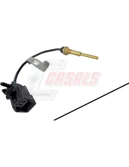 CASALS65373