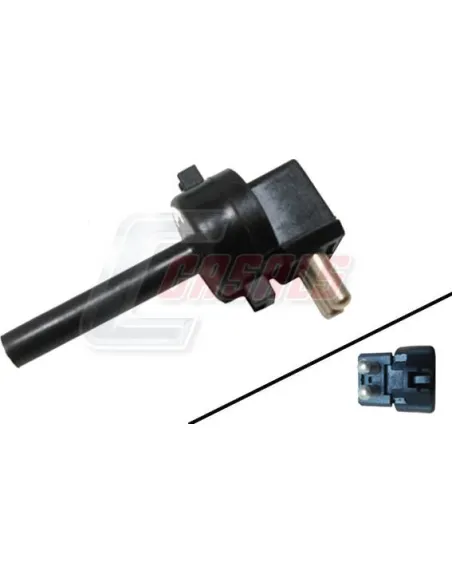 CASALS65379