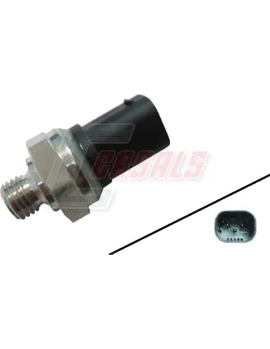 CASALS65391