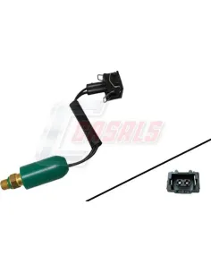 CASALS65397