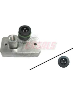 CASALS65398