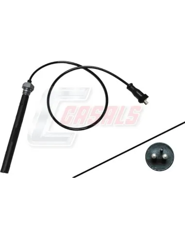CASALS65408