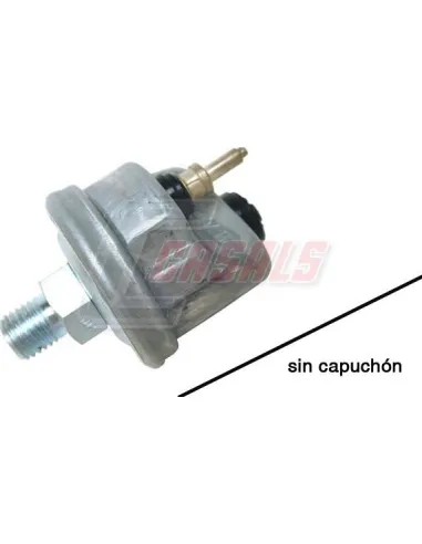 CASALS65453