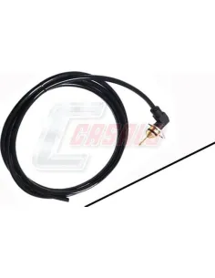CASALS65480