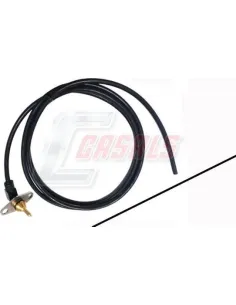CASALS65481
