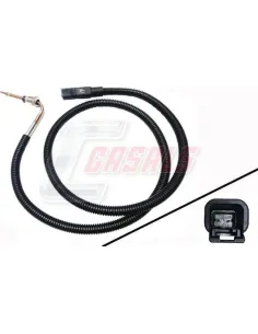 CASALS65486