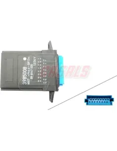 CASALS65503