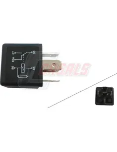 CASALS65520