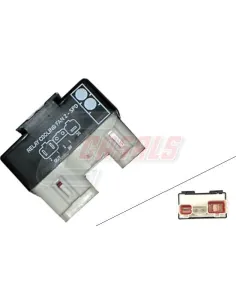 CASALS65526