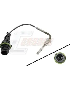 CASALS65580