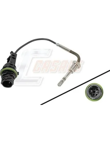 CASALS65580