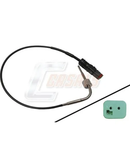 CASALS65584