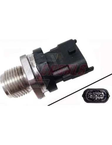 CASALS65606