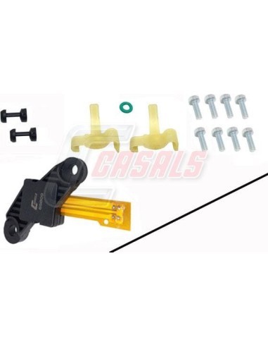 CASALS65609