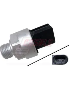 CASALS65615