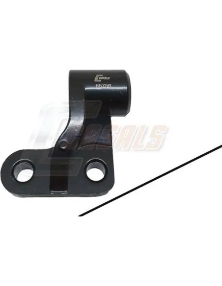 CASALS65756