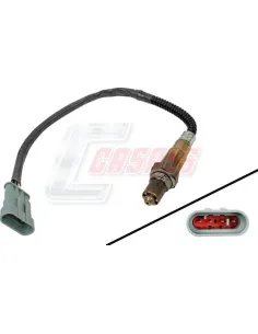 CASALS65767