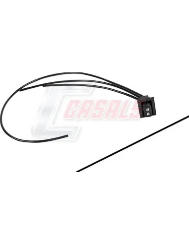 CASALS65770