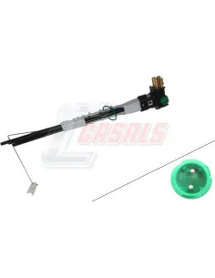 CASALS65821