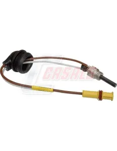 BUJ?A INCANDESCENTE SCANIA