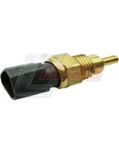 Producto 69067