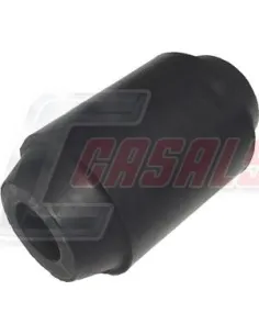 CASALS6622