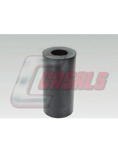 CASALS6648