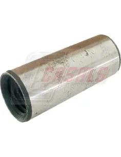 CASALS6687