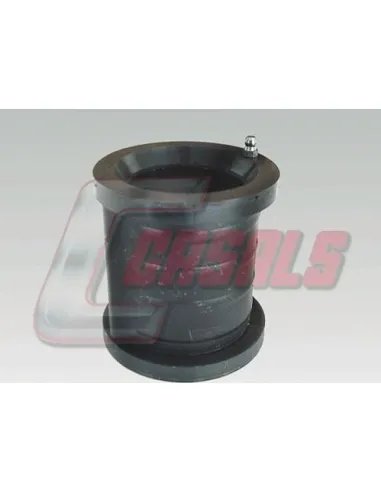 CASALS6746