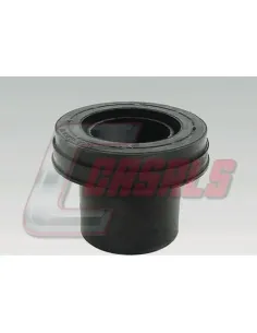 CASALS6851