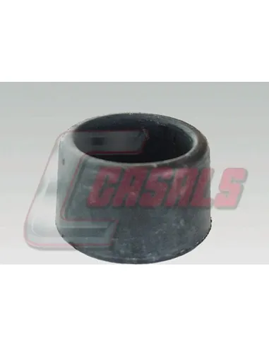 CASALS6910