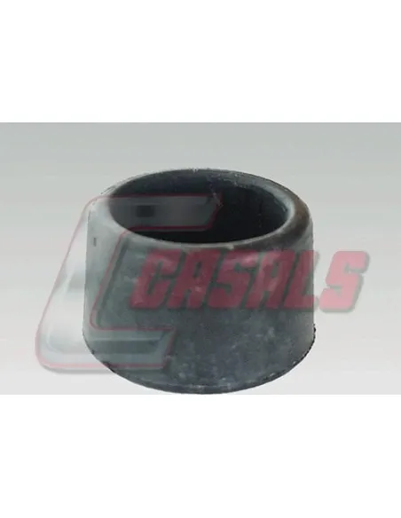 CASALS6910