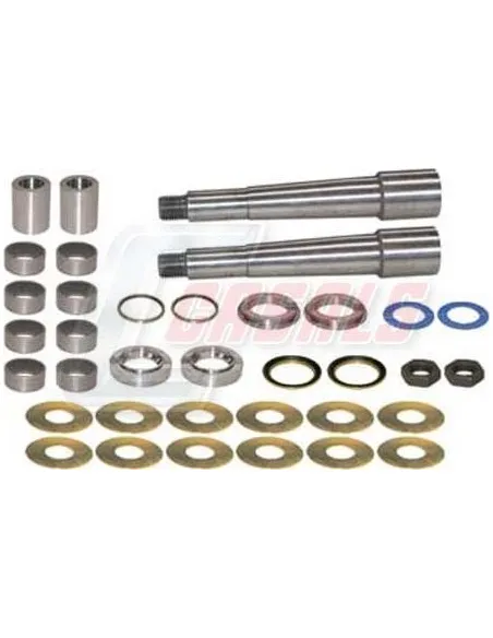 Kit De Reparación De Mangueta MAN DAF CASALS 69121