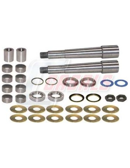 Kit De Reparación De Mangueta MAN DAF CASALS 69122