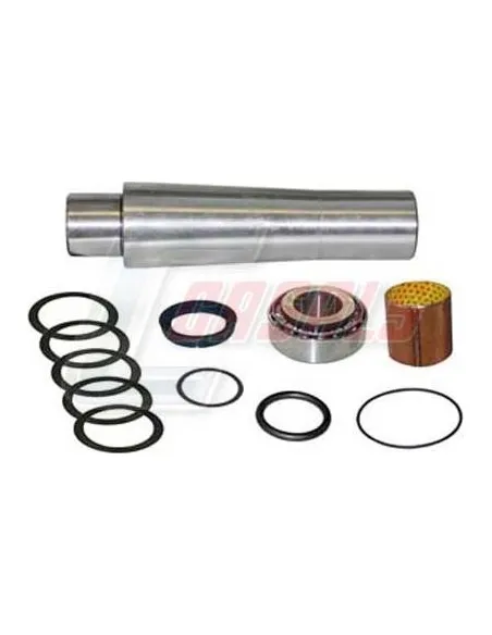 Kit De Reparación De Mangueta MAN SCANIA CASALS 69158