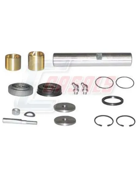Kit De Reparación De Mangueta MAN RENAULT CASALS 69160