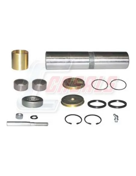 Kit De Reparación De Mangueta MAN RENAULT CASALS 69163