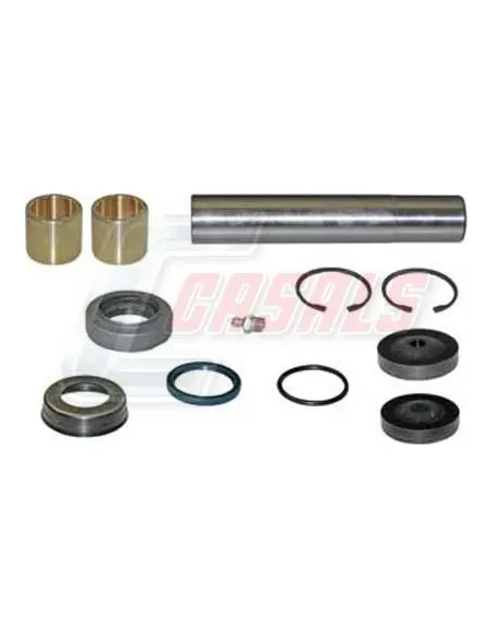 Kit De Reparación De Mangueta MAN RENAULT CASALS 69166