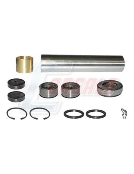 Kit De Reparación De Mangueta MAN RENAULT CASALS 69167