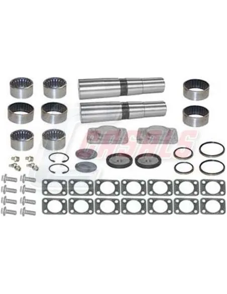 Kit De Reparación De Mangueta MAN IVECO CASALS 69184