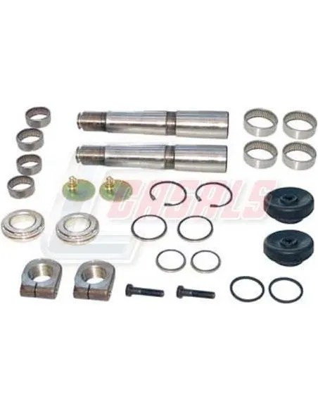 Kit De Reparación De Mangueta MAN IVECO CASALS 69185