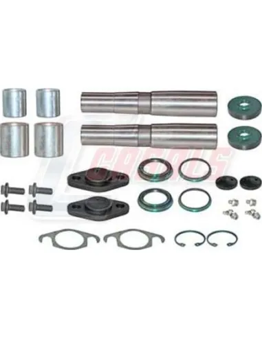 Kit De Reparación De Mangueta MAN IVECO CASALS...