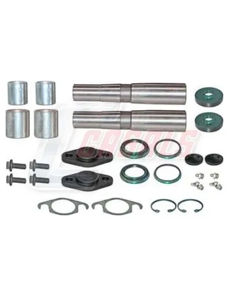 Kit De Reparación De Mangueta MAN IVECO CASALS 69186