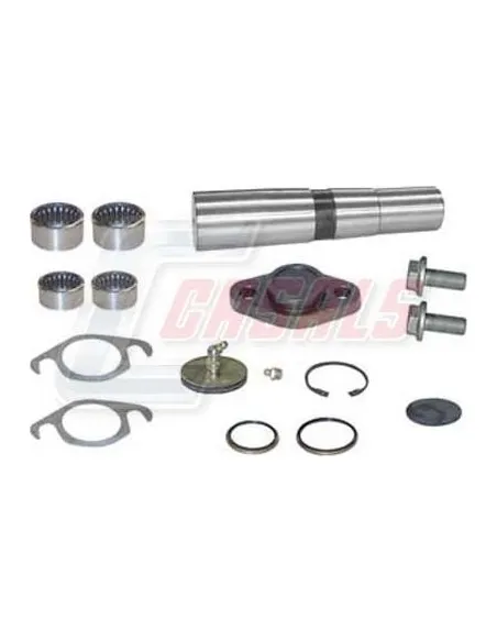 Kit De Reparación De Mangueta MAN IVECO CASALS 69188
