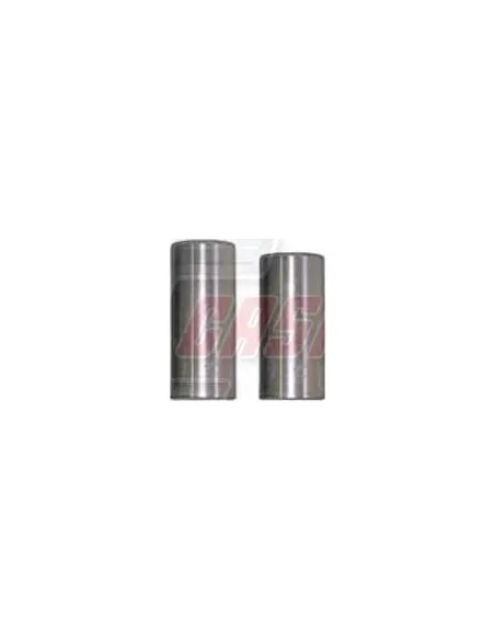 Kit De Reparación De Mangueta MAN IVECO CASALS 69189