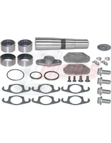 Kit De Reparación De Mangueta MAN IVECO CASALS...